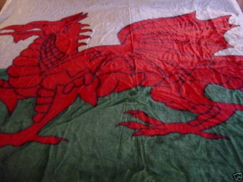 Single Bed Welsh Dragon Wales Mink Blanket