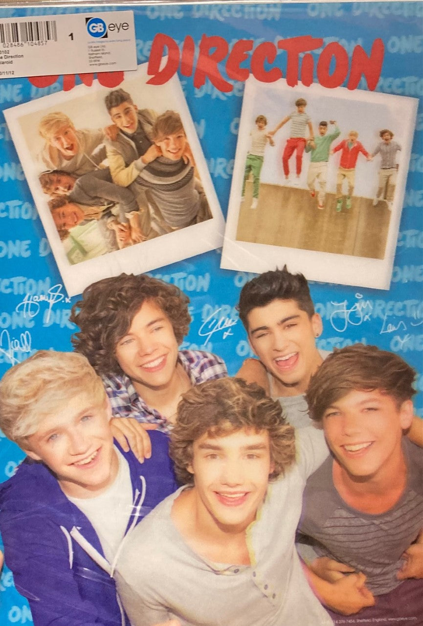 One Direction Boy Band 3D Poster Wall Decoration